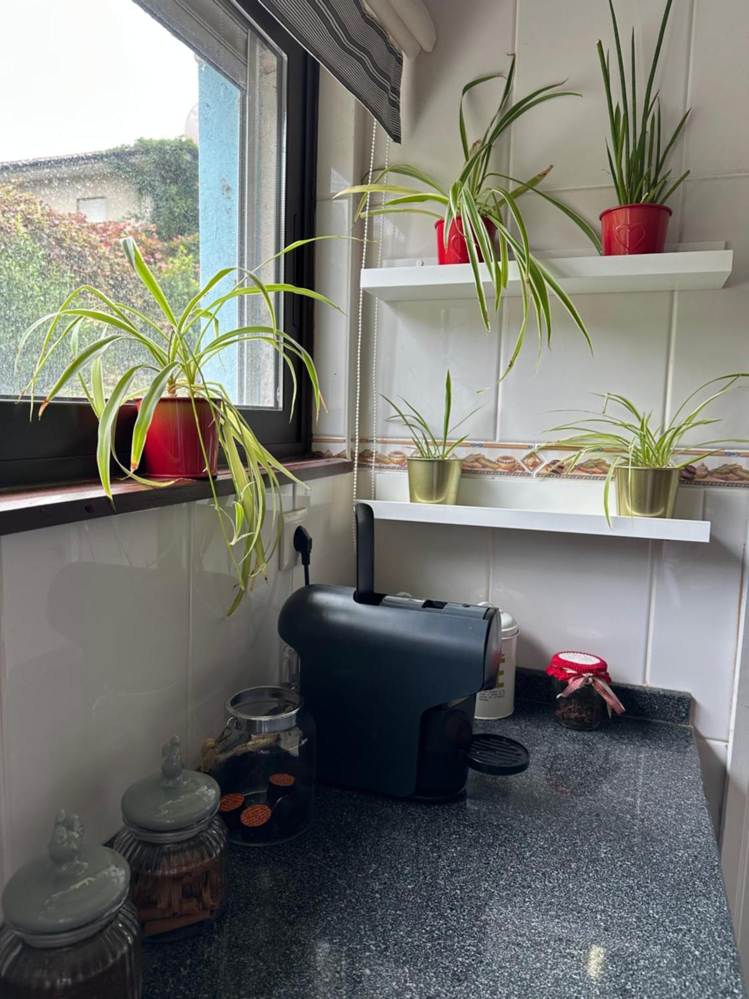 Dom Ruas Apartment เปโซดาเรกวา ภายนอก รูปภาพ